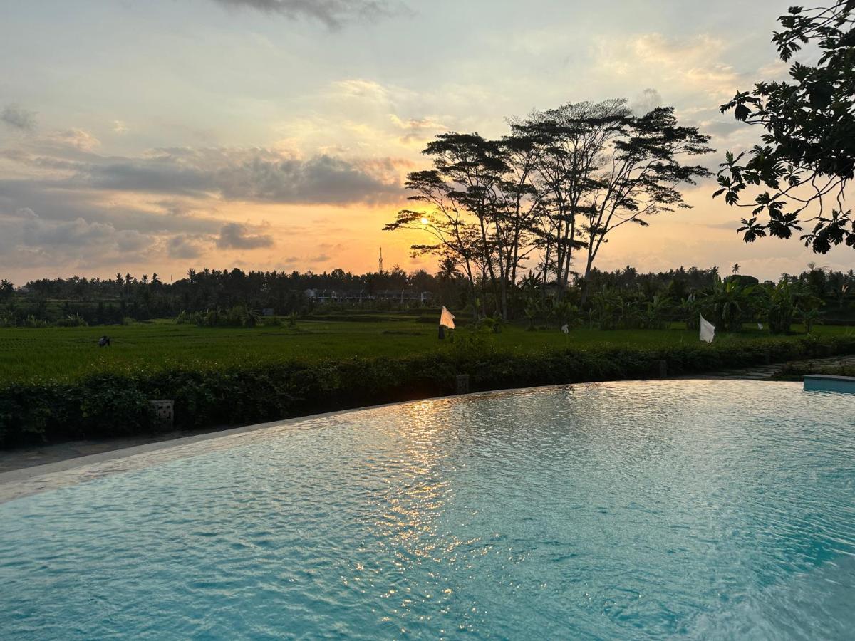 Griya Kcb Villa Ubud Kültér fotó
