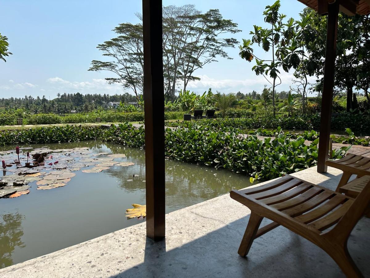 Griya Kcb Villa Ubud Kültér fotó