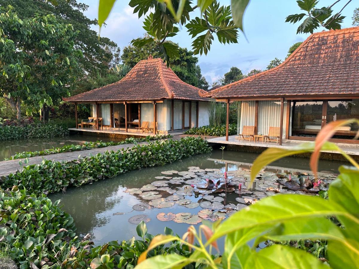 Griya Kcb Villa Ubud Kültér fotó