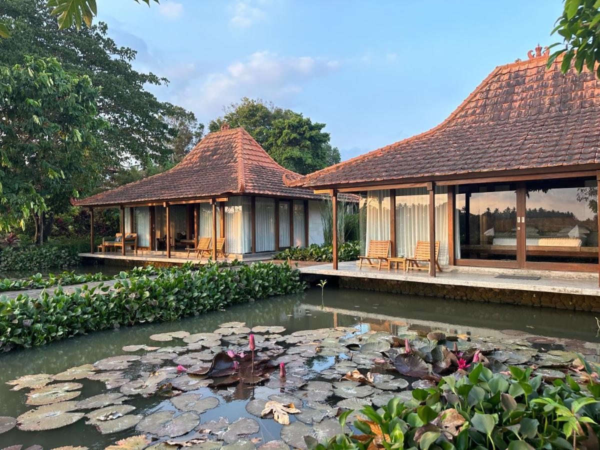 Griya Kcb Villa Ubud Kültér fotó