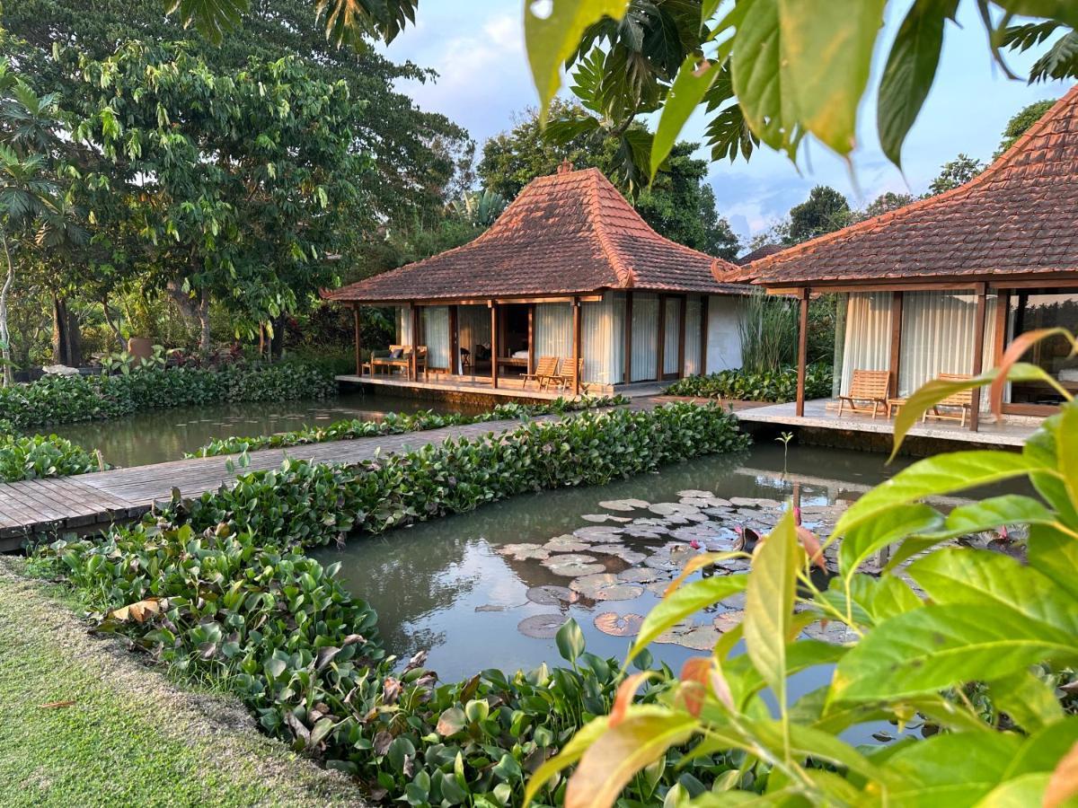 Griya Kcb Villa Ubud Kültér fotó
