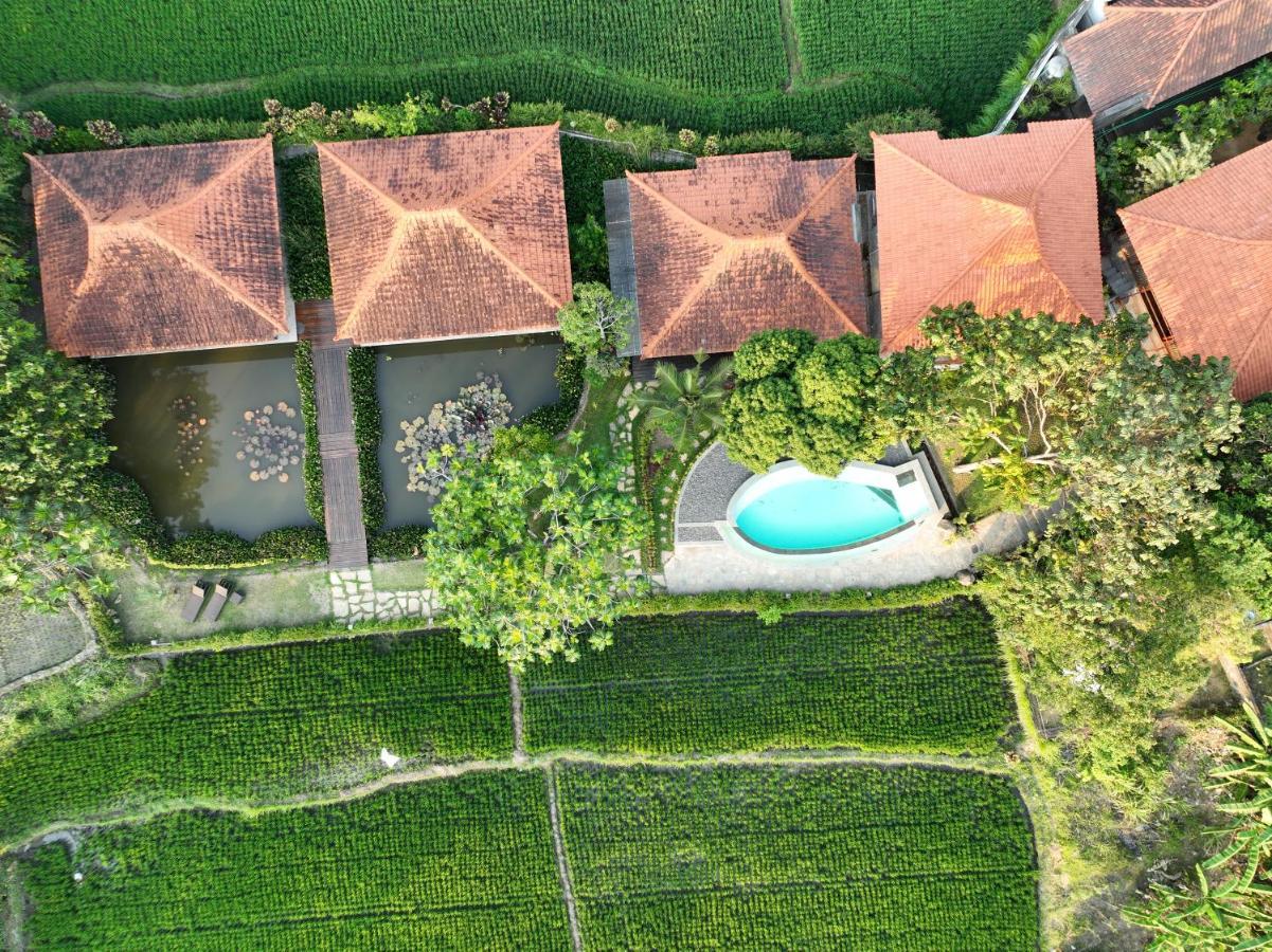 Griya Kcb Villa Ubud Kültér fotó
