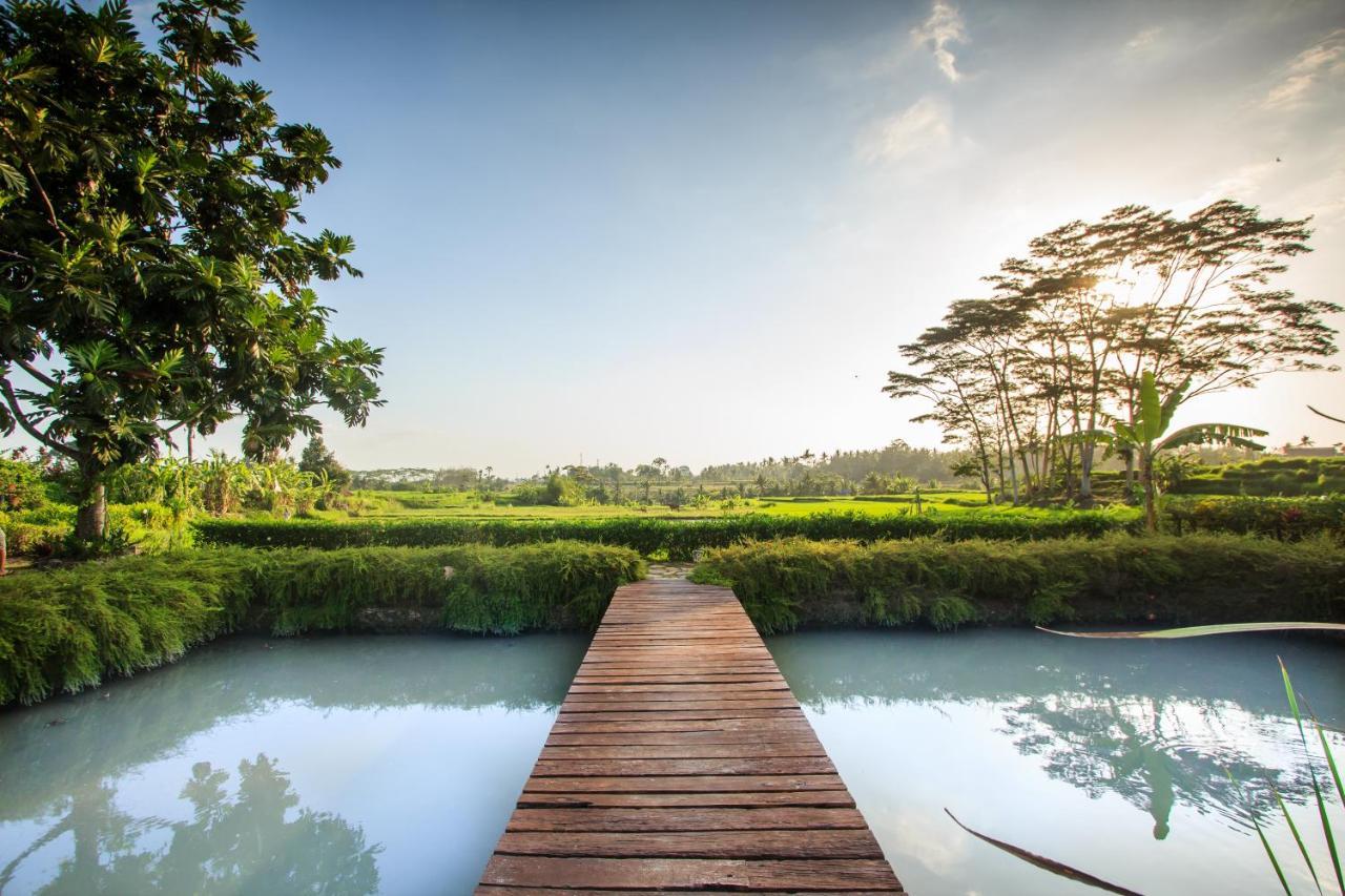 Griya Kcb Villa Ubud Kültér fotó