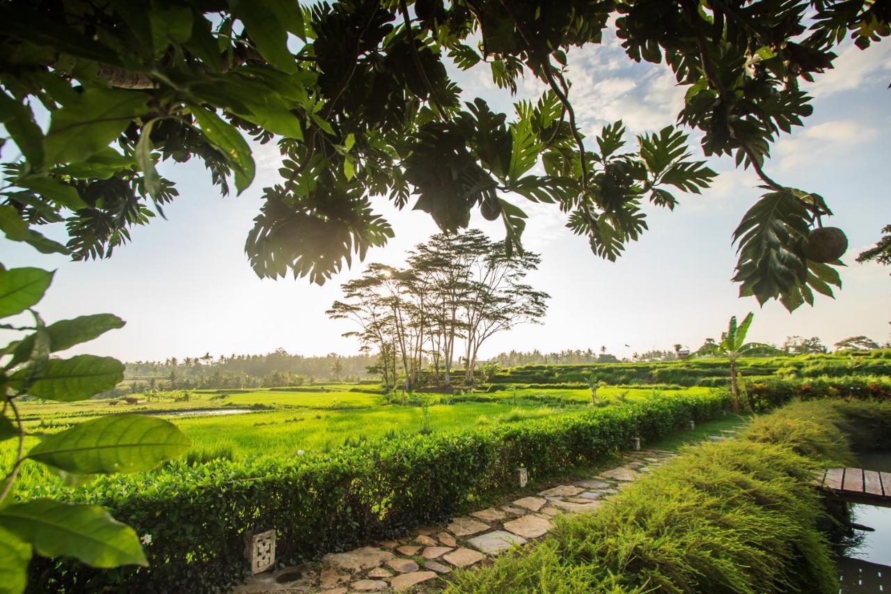 Griya Kcb Villa Ubud Kültér fotó