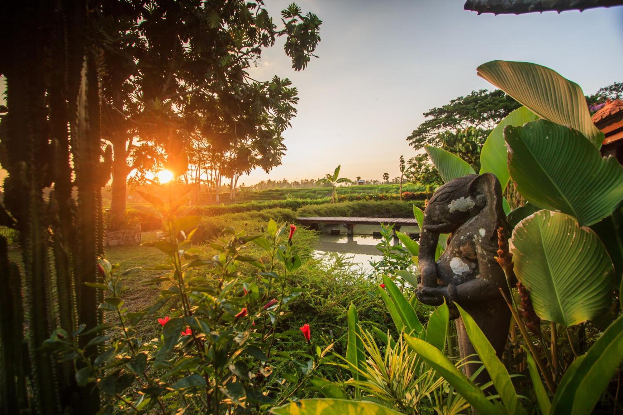 Griya Kcb Villa Ubud Kültér fotó