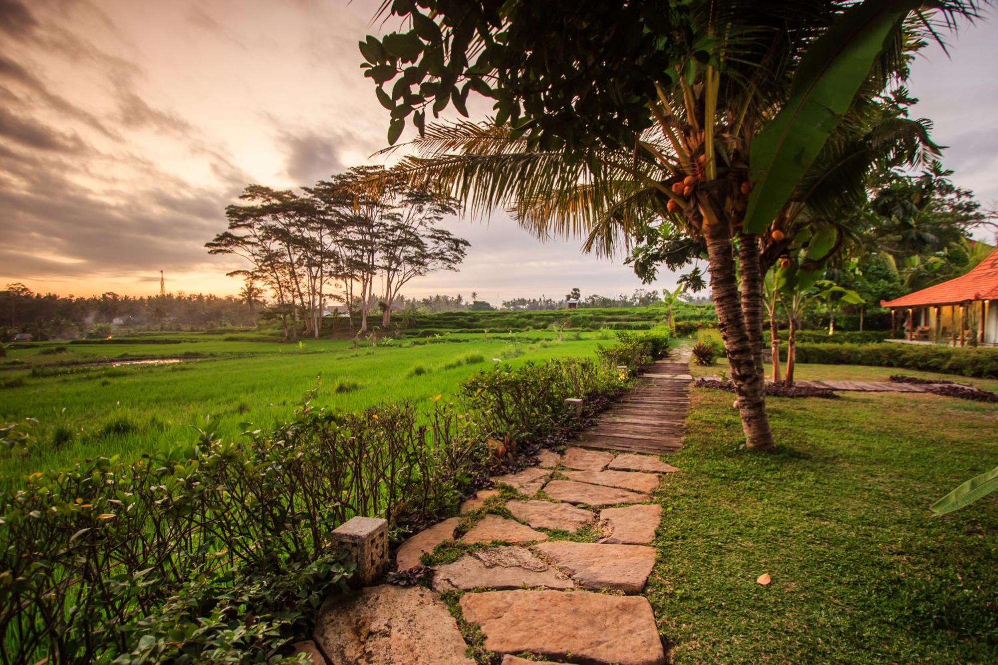 Griya Kcb Villa Ubud Kültér fotó