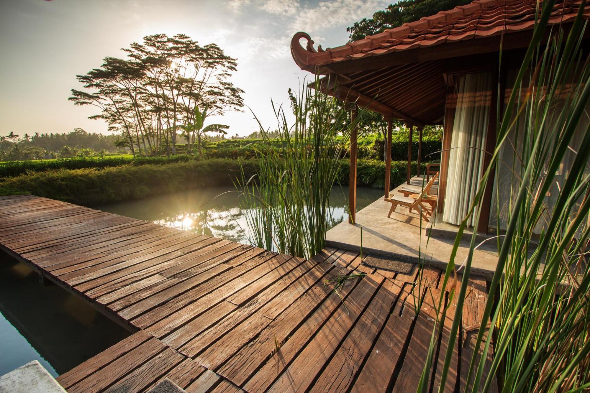Griya Kcb Villa Ubud Kültér fotó