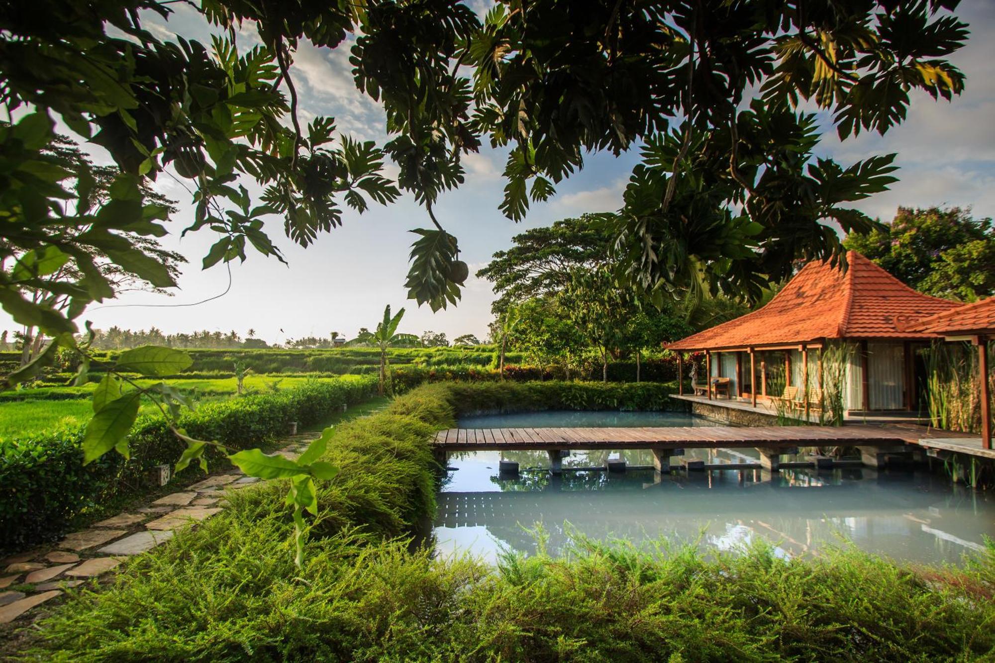 Griya Kcb Villa Ubud Kültér fotó